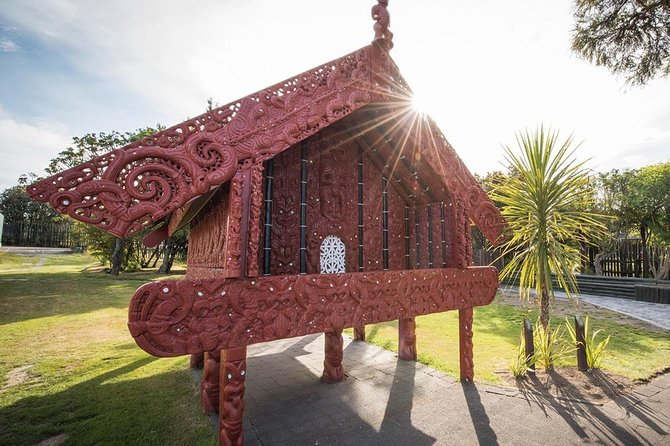 Waitomo Caves & Rotorua - Te Puia Small-Group Tour from Auckland - Rotorua by guided driving tour: the highlights without the heavy walking