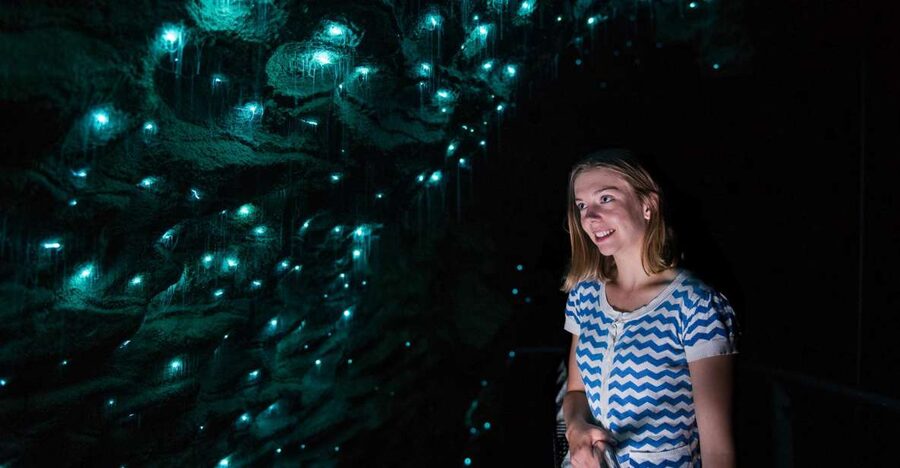 Waitomo Caves: Ruakuri Glowworm Cave Guided Walking Tour - Add-on idea: pair Ruakuri Cave with the free bush walk