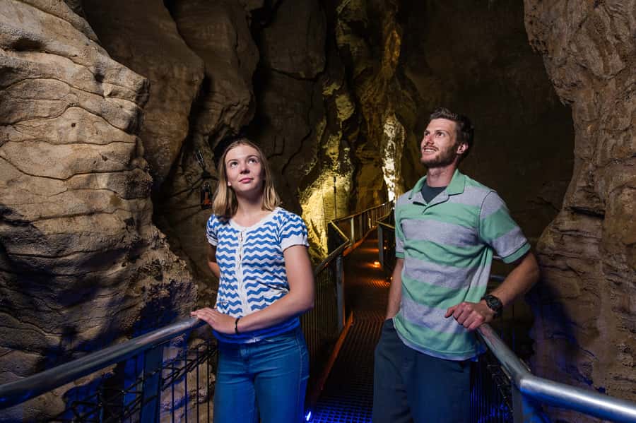 Waitomo Caves: Ruakuri Glowworm Cave Guided Walking Tour - Ruakuri Cave in Waitomo, what makes this walk special