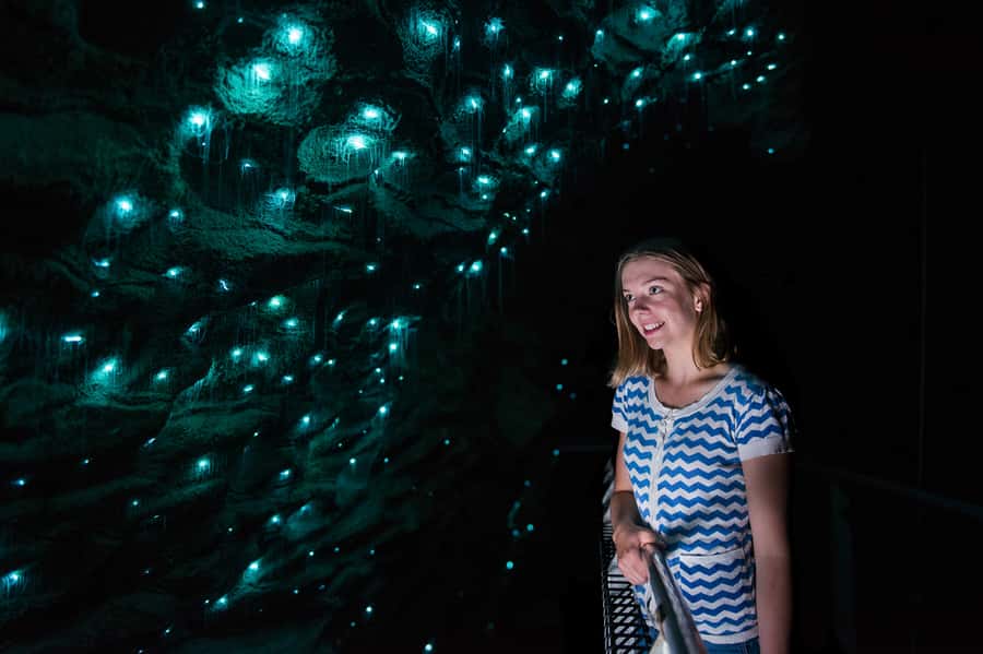 Waitomo Caves: Ruakuri Glowworm Cave Guided Walking Tour - The 90-minute guided walk: what the cave sequence feels like