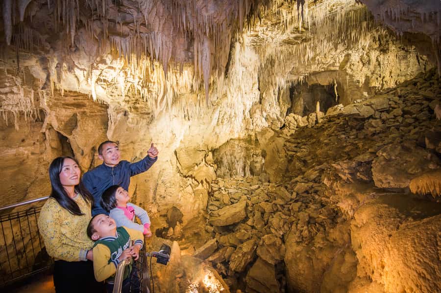 Waitomo Caves: Ruakuri Glowworm Cave Guided Walking Tour - The route and walkways: stairs, ramps, and how Ruakuri stays accessible