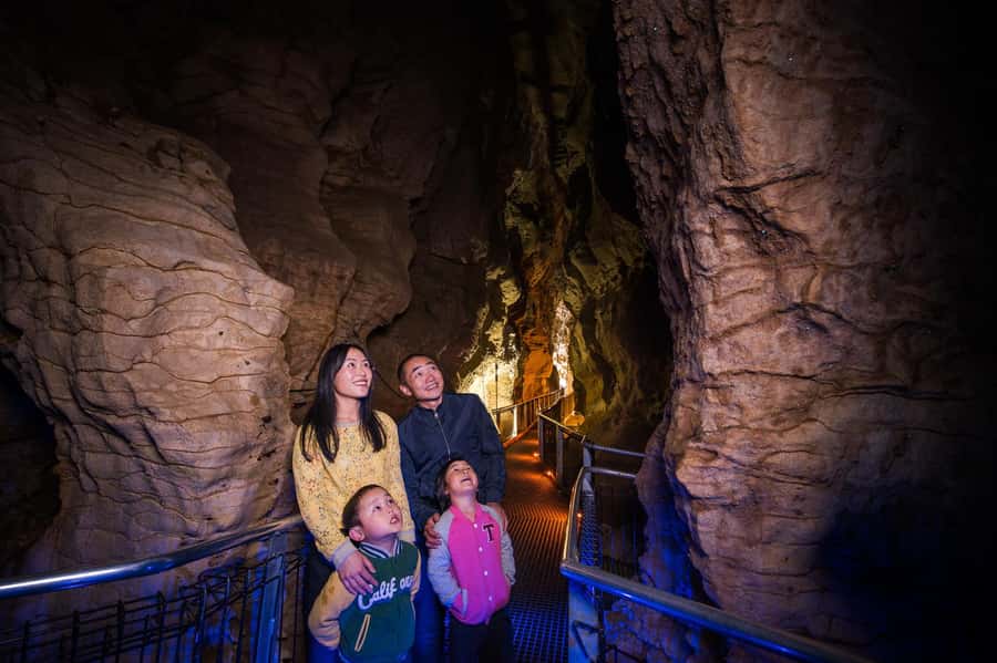 Waitomo Caves: Ruakuri Glowworm Cave Guided Walking Tour - What you’ll see most: formations, rivers, and thousands of glowworms