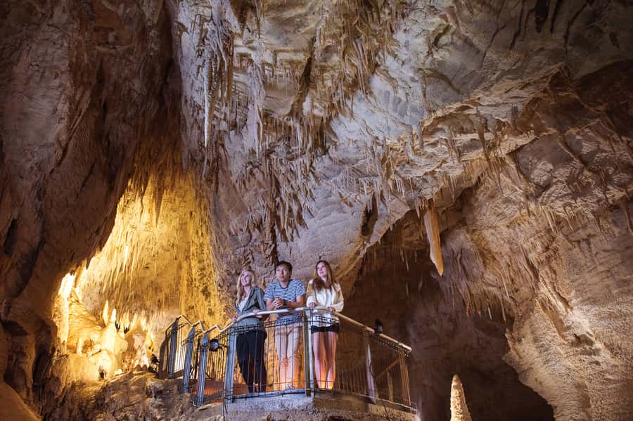 Waitomo Caves: Ruakuri Glowworm Cave Guided Walking Tour - The guide factor: stories that make the cave click