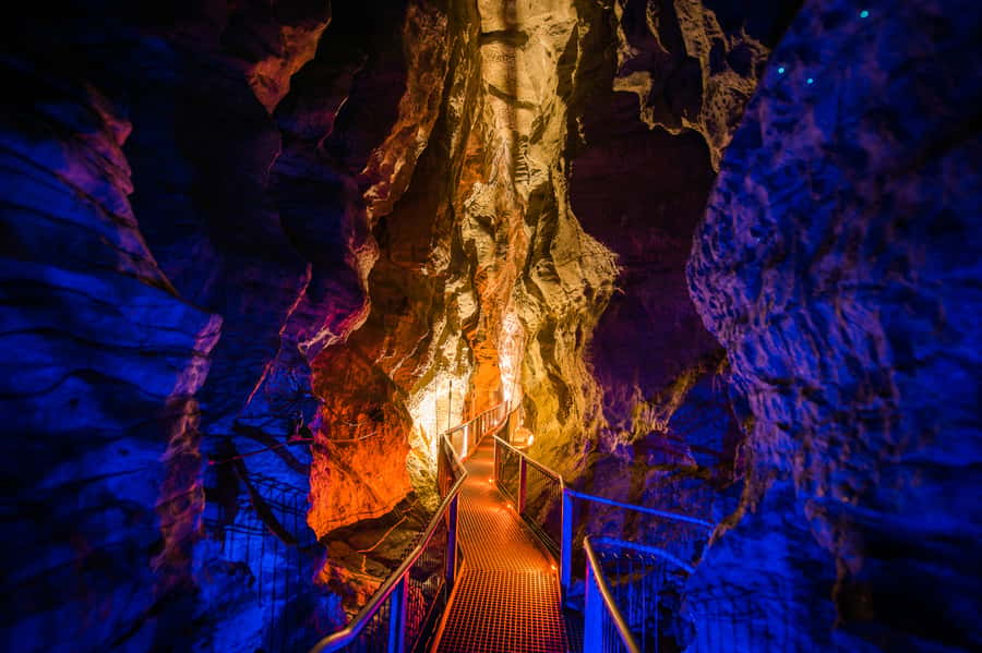 Waitomo Caves: Ruakuri Glowworm Cave Guided Walking Tour - Price and value: is $69 for 90 minutes worth it?