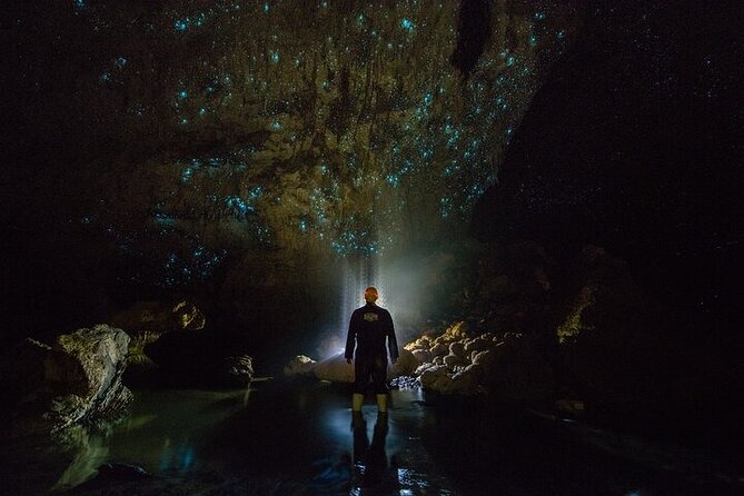 Waitomo Glow Worm Caves - Key highlights at a glance