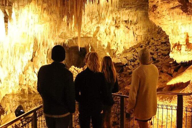 Waitomo Glow Worm Caves - Price and value: where the $173.14 goes