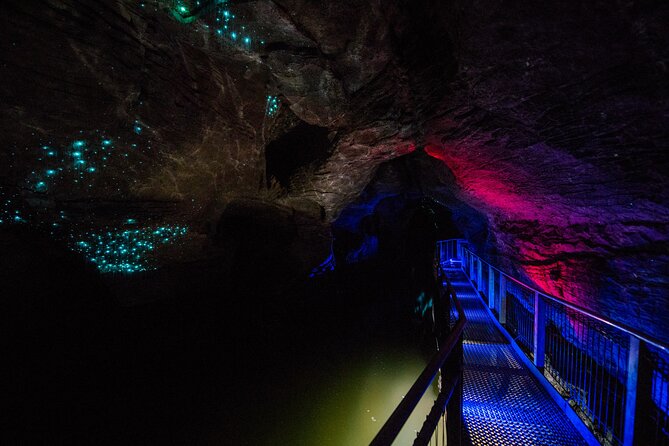 Waitomo Glowworm Caves and Kiwi House Small Group from Auckland - Ruakuri Glowworm Caves: the boat ride you’ll remember