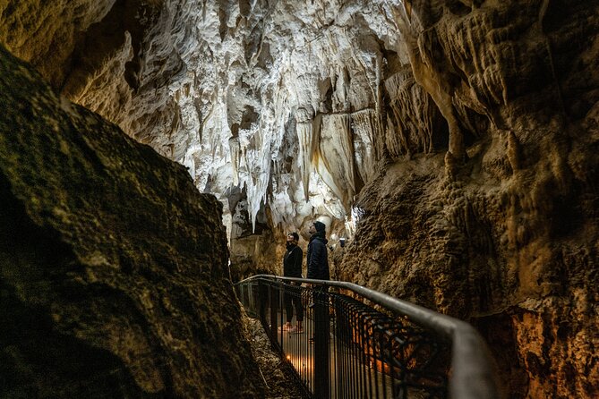 Waitomo Glowworm Caves and Kiwi House Small Group from Auckland - Lunch in Otorohanga: simple break, plan your budget