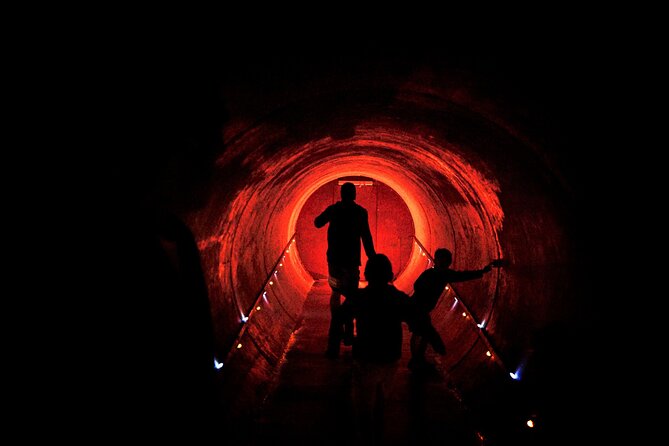 Waitomo Glowworm Caves and Kiwi House Small Group from Auckland - Otorohanga Kiwi House and Bird Park: kiwi time plus more native birds