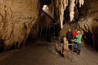 Waitomo Glowworm Caves Guided Tour