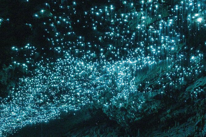 Waitomo Glowworm Caves Guided Tour - Price, photo rules, and how to get the best value