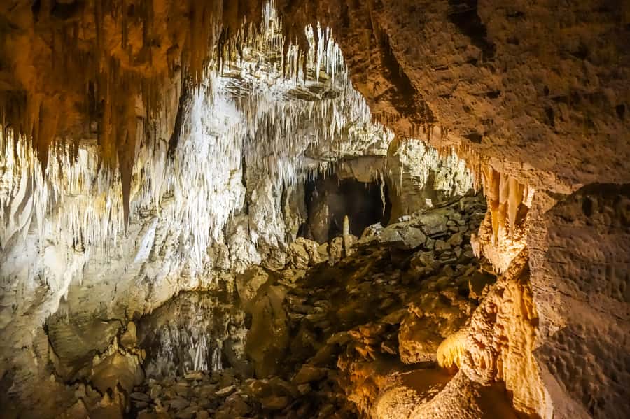Waitomo: Glowworm Caves Guided Tour by Boat - Weather and timing: why your start time matters