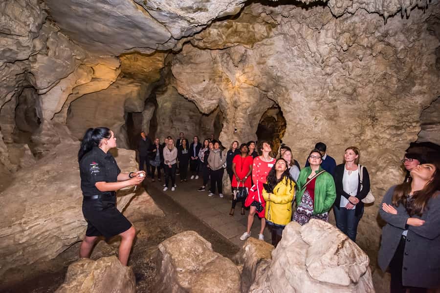 Waitomo: Glowworm Caves Guided Tour by Boat - Cathedral Cave acoustics and the Māori storytelling moment