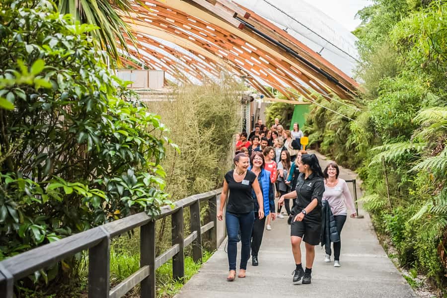 Waitomo: Glowworm Caves Guided Tour by Boat - Guides make the difference: what to expect from the live commentary