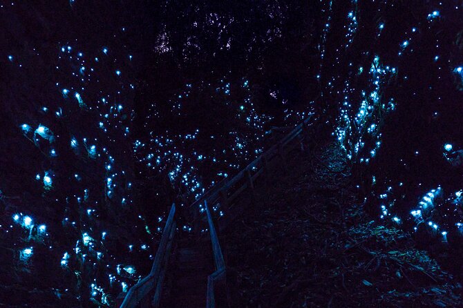Waitomo Glowworm Caves In a Private Small Group Tour-Auckland. - Inside Waitomo: the glowworms, the two cave levels, and the guide-led walk