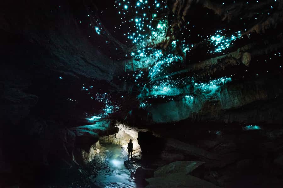Waitomo: Guided Eco-Cave Tour - From Farm Quiet to Cave Darkness: The Real Waitomo Feel