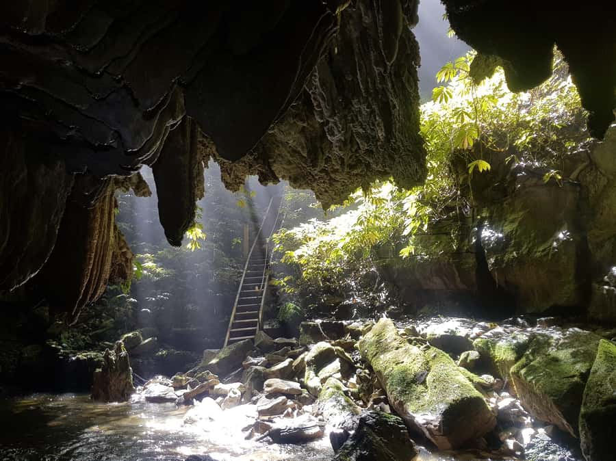 Waitomo: Guided Eco-Cave Tour - Gear, Safety, and a 10-Minute Walk That Sets Expectations