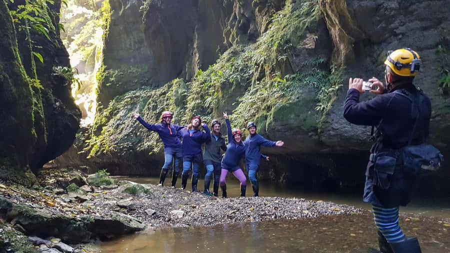 Waitomo: Guided Eco-Cave Tour - Price and Value: Is $130 Worth It?