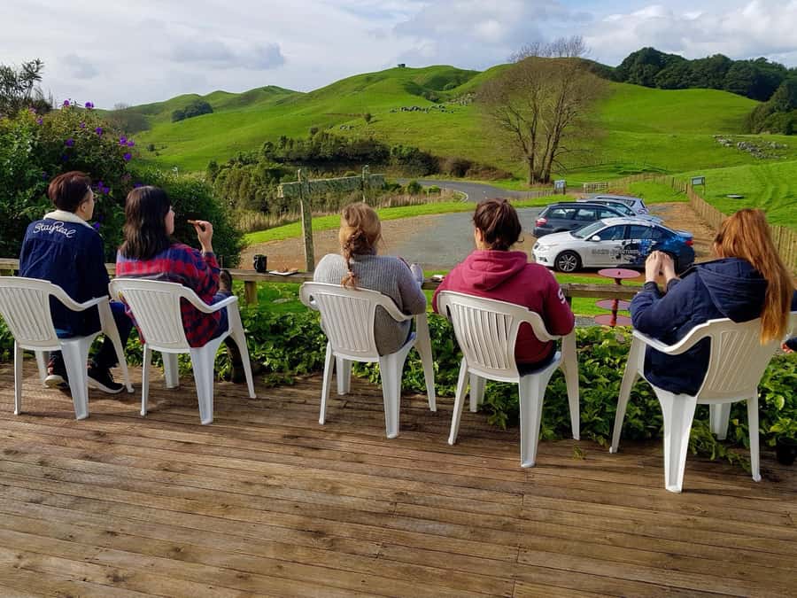 Waitomo: Guided Eco-Cave Tour - Who This Tour Fits Best (and Who Should Skip It)