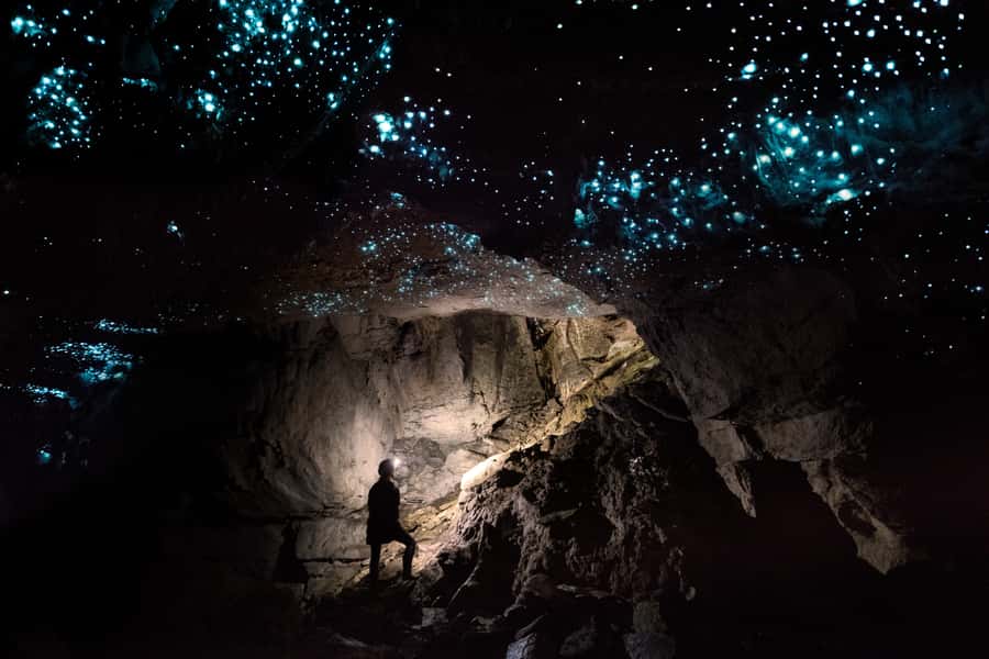 Waitomo: Guided Eco-Cave Tour - Should You Book Down to Earth Waitomo Eco Cave Tour?