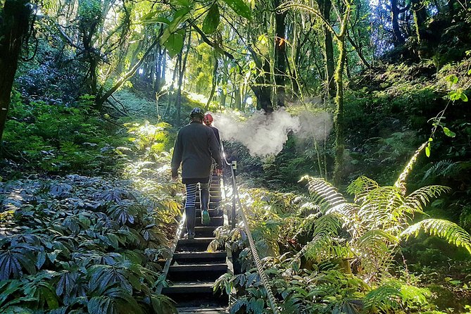 Waitomo’s Hidden Gem: Small-Group Off the Beaten Track Tour - Key Points You Should Know Before You Go