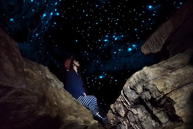 Waitomo’s Hidden Gem: Small-Group Off the Beaten Track Tour - Why Waitomo Feels Different on This Small-Group Cave Walk