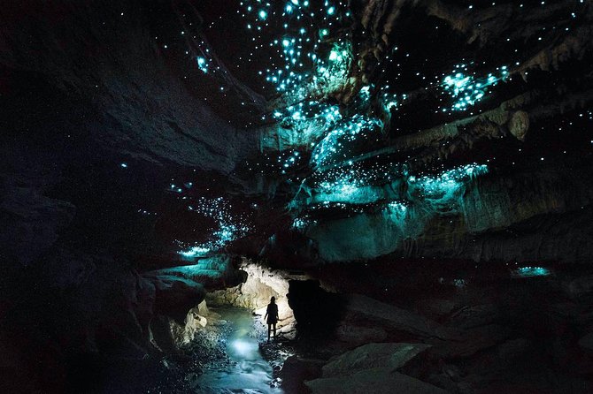 Waitomo’s Hidden Gem: Small-Group Off the Beaten Track Tour - Meeting at 1199 Oparure Road and How the Timing Flows