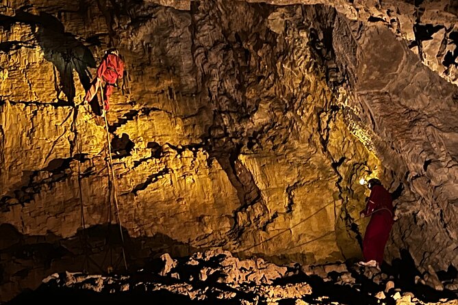 WAITOMO - Twin Caves Discovery - Private Day Tour from Auckland - Glowworm Cave: The Cathedral + a Silent Boat Ride