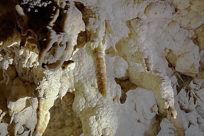 WAITOMO - Twin Caves Discovery - Private Day Tour from Auckland - Ruakuri Cave: Spiral Entrance and Glowworms Up Close