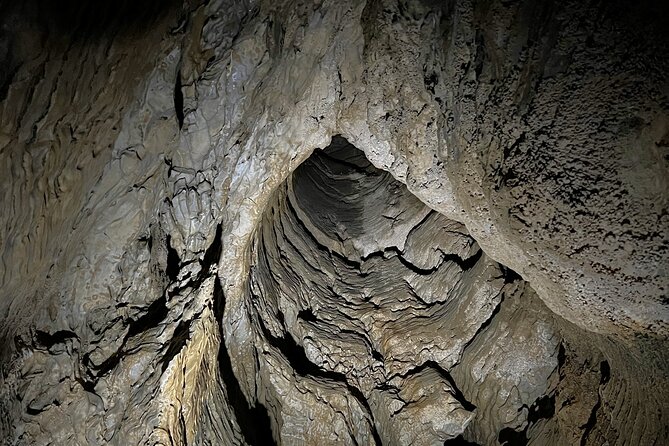 WAITOMO - Twin Caves Discovery - Private Day Tour from Auckland - Timing and Pace: Why This Works as a 10-Hour Day