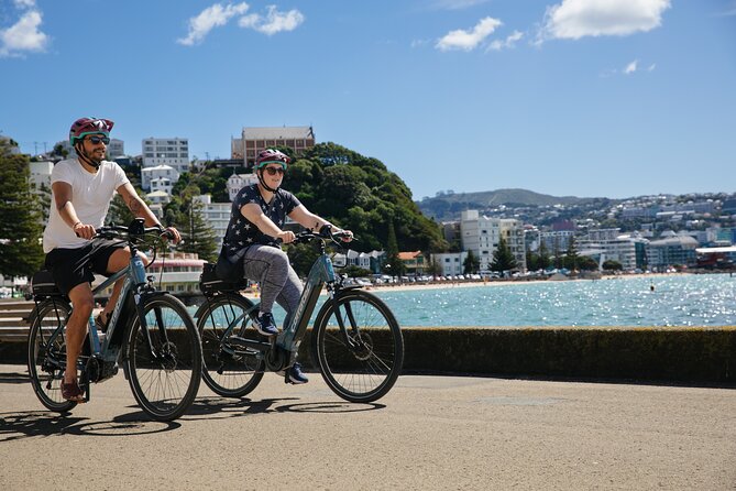 Walking Food Odyssey Wellington - Kombucha, Chocolate, Markets, and Butchers, in One Route