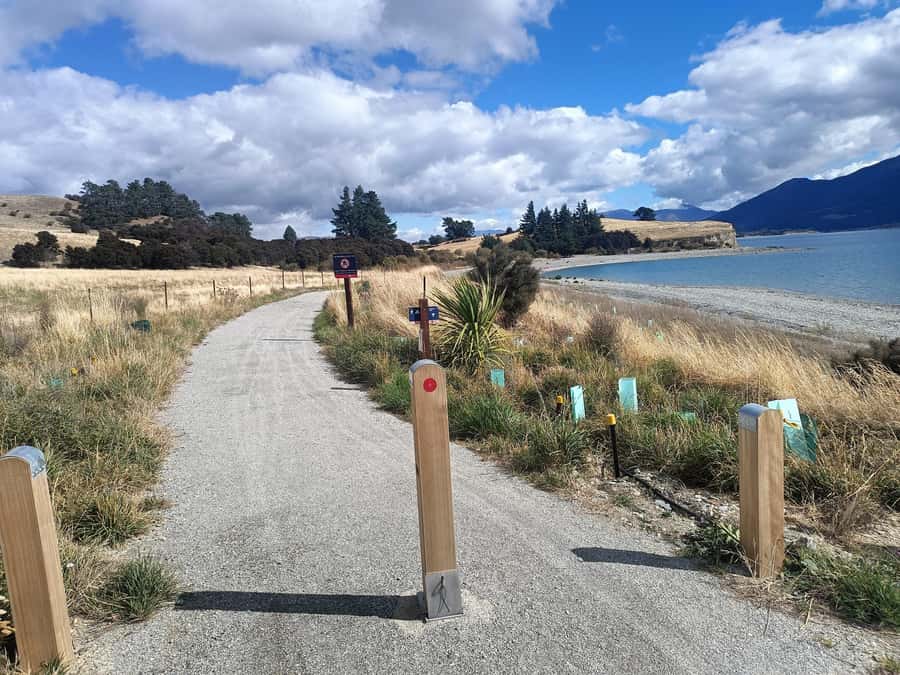 Wānaka And Hāwea: Trail Ride on Bike or E-Bike - Albert Town to Wānaka: Clutha River trail through the Outlet