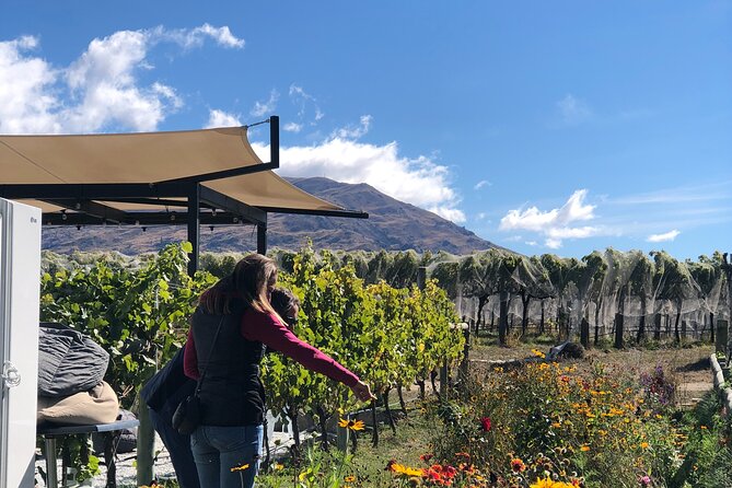 Wanaka Breweries E-Bike Tour - Price and value: is $152.04 a good deal?