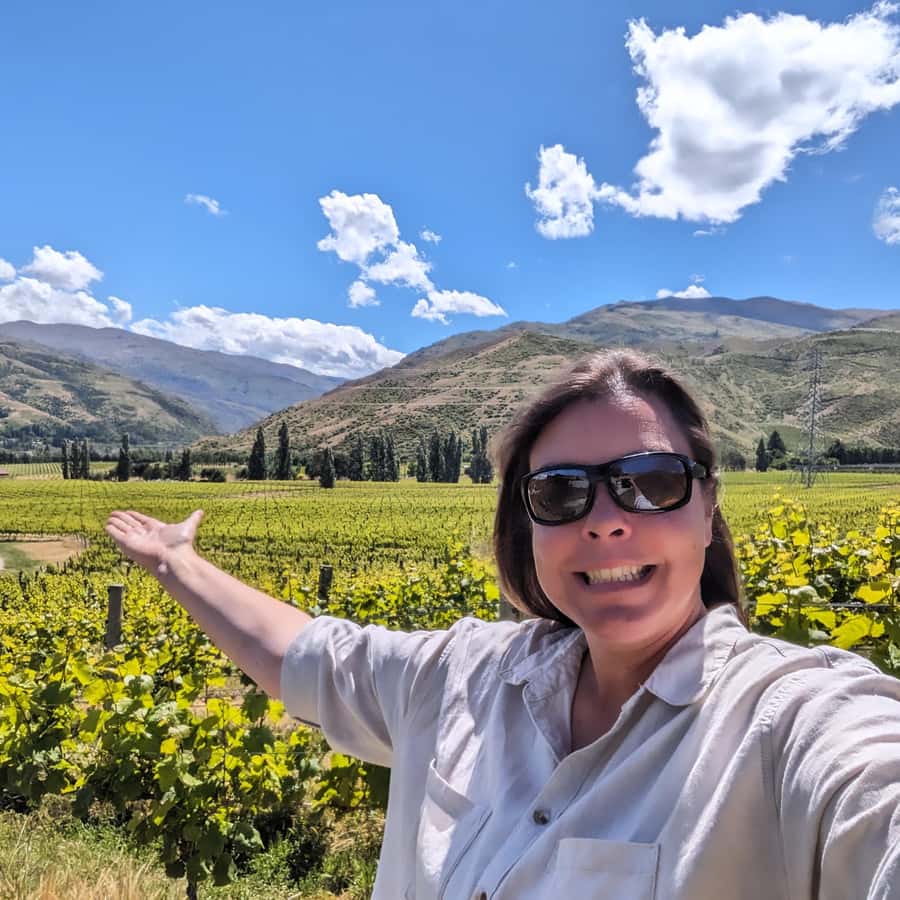 Wanaka: Full Day Wine Tour Hidden Gems - Entering Central Otago with a guide, not a map