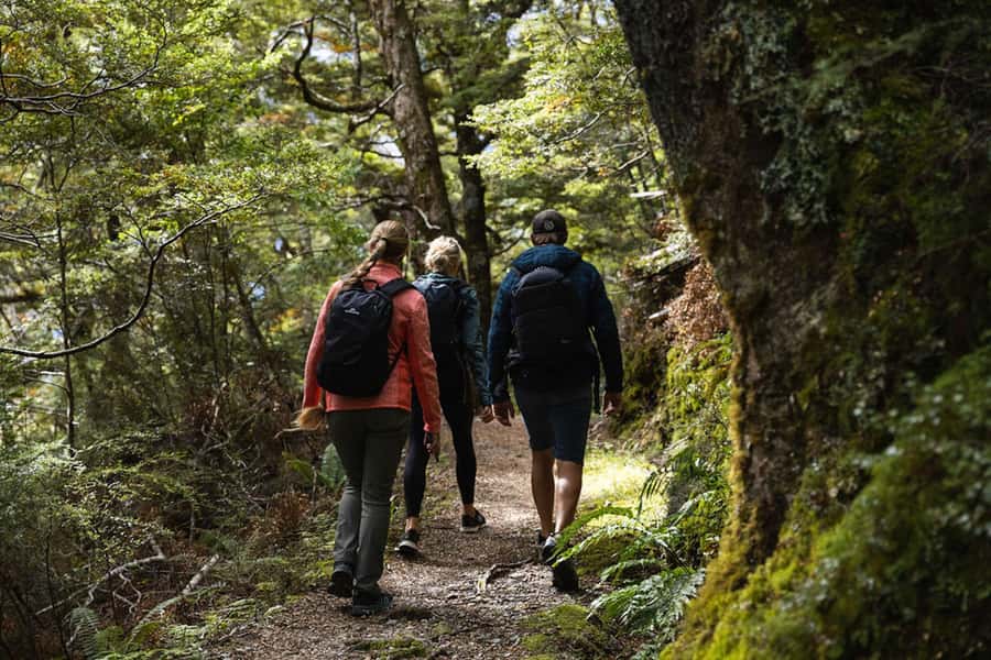Wānaka: Heli Siberia - Helicopter Flight, Hike & Jet Boat - Wanaka’s Big-Wilderness Day Starts With a Helicopter