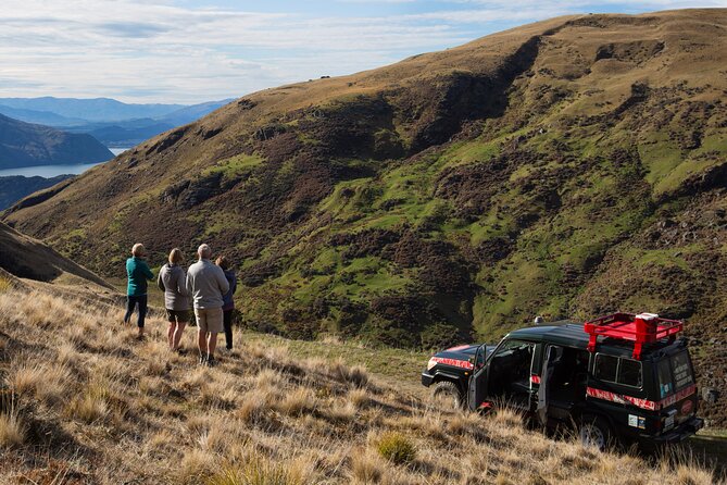 Wanaka High Country Walk - Lake Wanaka views: the payoff for getting high