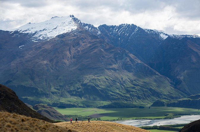 Wanaka High Country Walk - What you’ll learn on the trail, guided by Lloyd