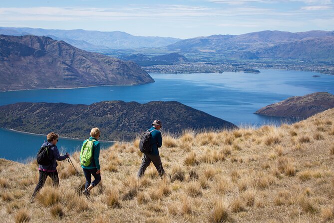 Wanaka High Country Walk - Price and value: is $257.54 worth it?