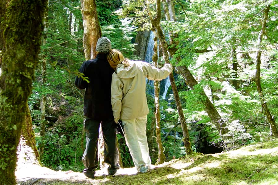 Wanaka: Jet Boat & Wilderness Walk - Lord of the Rings and Hobbit Moments You Can See in Real Life