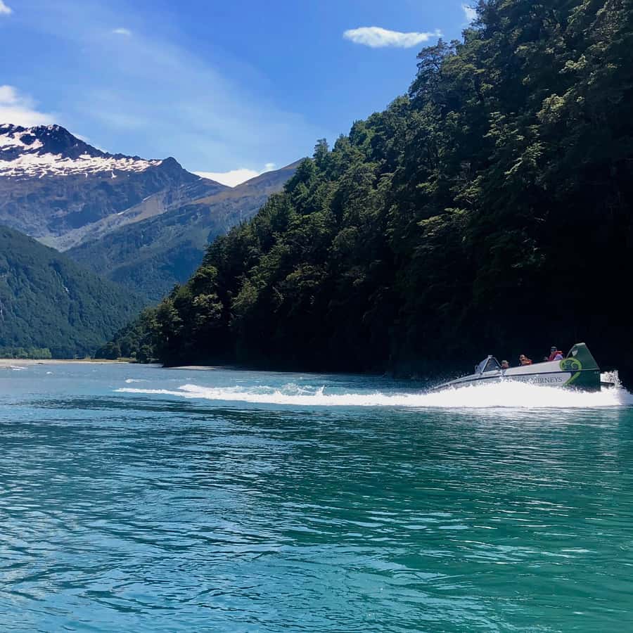 Wanaka: Jet Boat & Wilderness Walk - Price and Value for a 4-Hour Wanaka Adventure