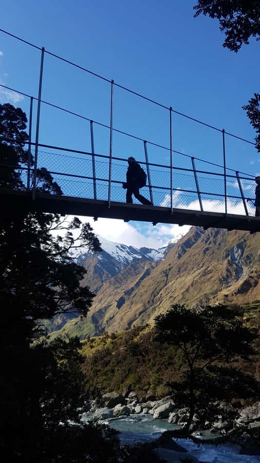 Wanaka: Rob Roy Glacier Guided Hike with Lunch - The rainforest climb, why the hike feels steady not chaotic