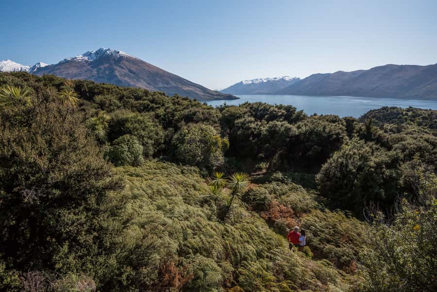 Wanaka Water Taxi Mou Waho Island Tour - The boat ride from Wānaka Marina: 15 km up-lake with real context