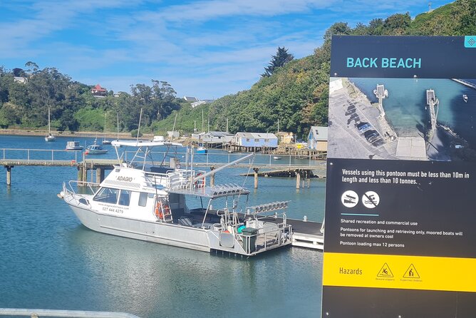Water Taxi and Shuttle to Larnach Castle - The Shuttle Ride to Larnach Castle: Short, Scenic, and Worth the Hilltop
