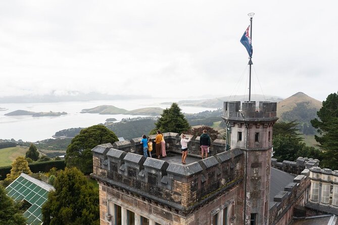 Water Taxi and Shuttle to Larnach Castle - Choosing Your Time Slot: Morning Starts in Port Chalmers, Midday Starts in Dunedin