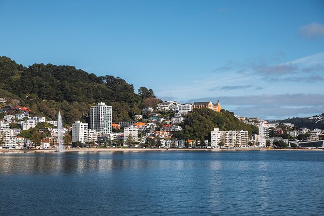 Wellington 90 minute Harbour Cruise - Why the Ika Rere electric ferry changes the feel
