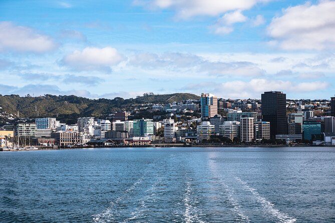 Wellington 90 minute Harbour Cruise - What the guide covers while you cruise