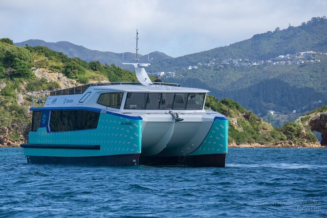 Wellington 90 minute Harbour Cruise - Deck time vs cabin time, with weather reality