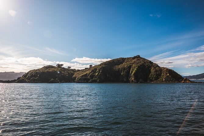 Wellington 90 minute Harbour Cruise - Price and value: what $42.82 gets you