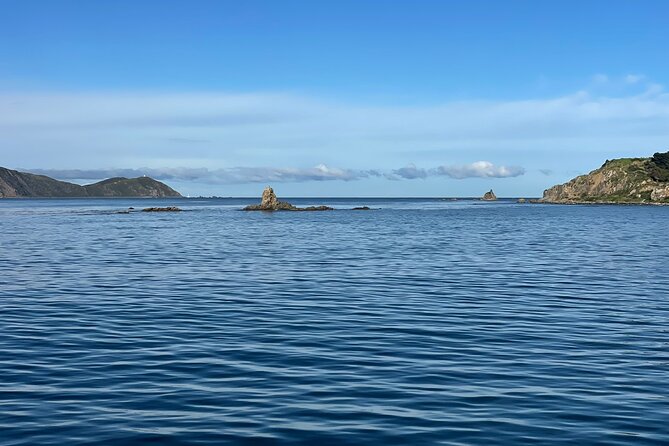 Wellington 90 minute Harbour Cruise - Quick practical checklist before you go