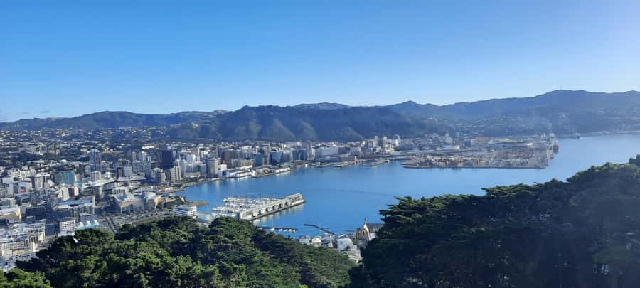 Wellington: Cave to Coast Highlights Guided Tour - The drive: Oriental Bay, Evans Bay, and Windy Wellington moments